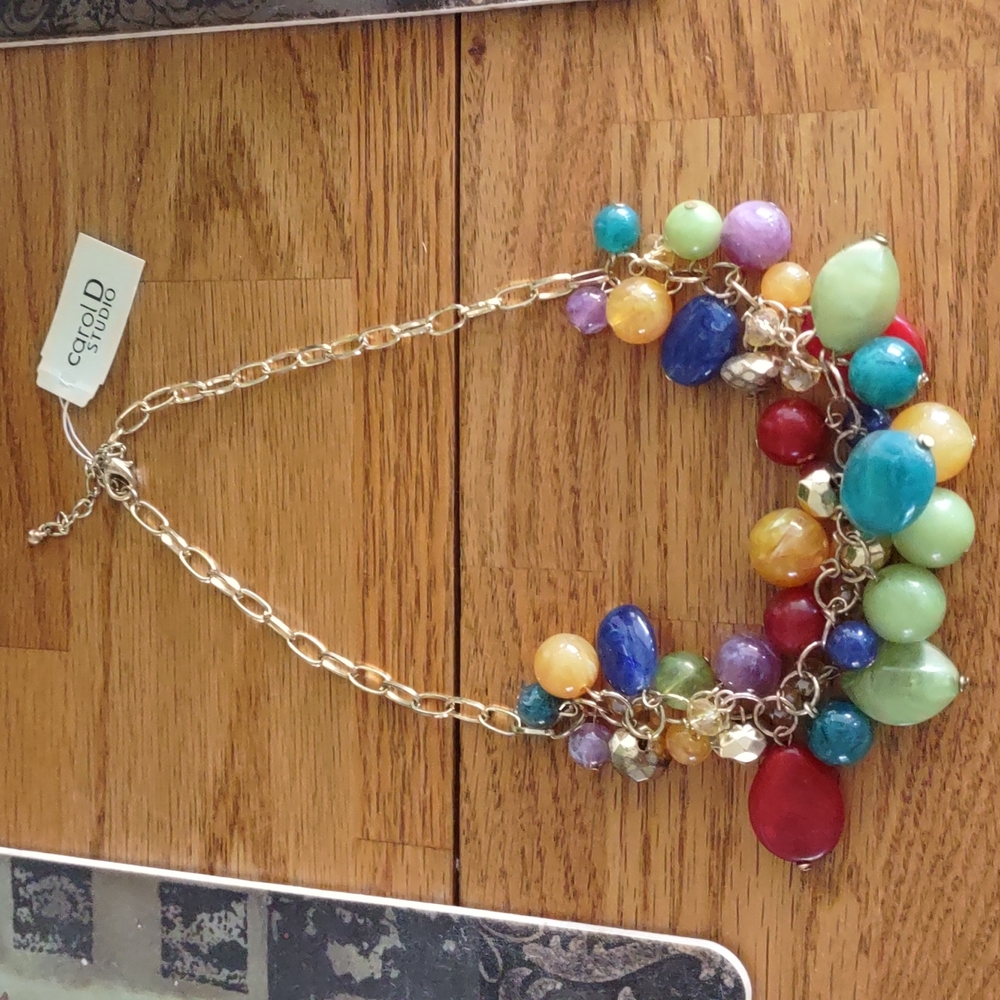 Nwt multicolored necklace